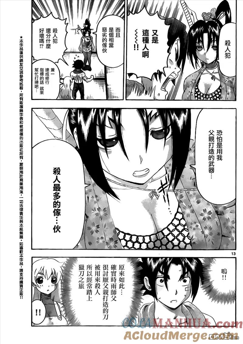 第13页