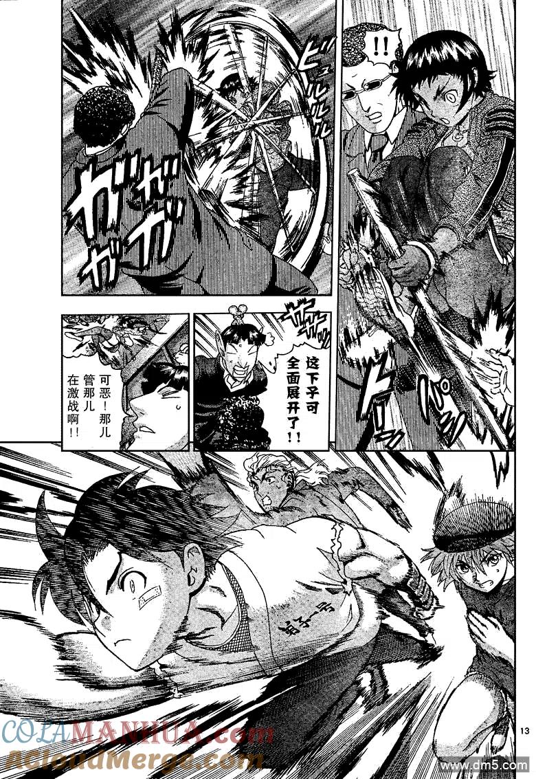 第13页