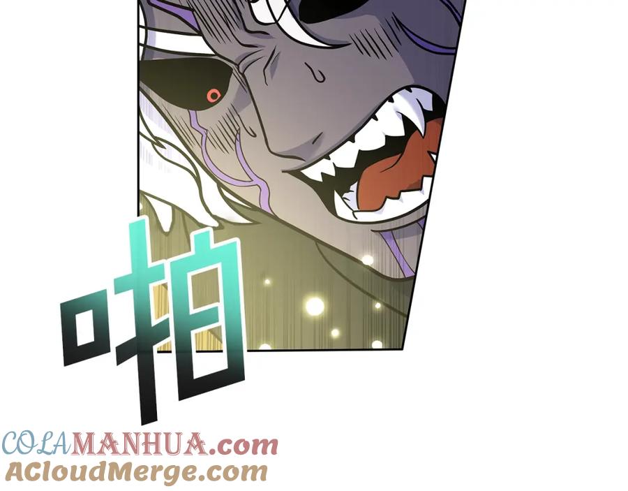 第213页