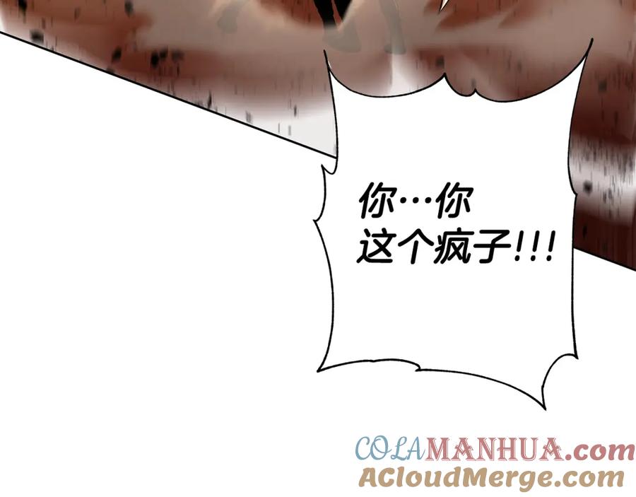第221页