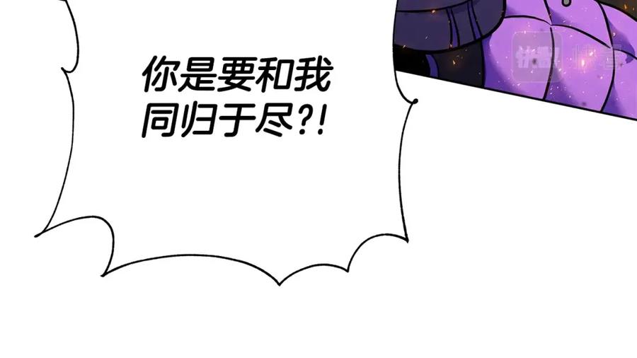 第223页