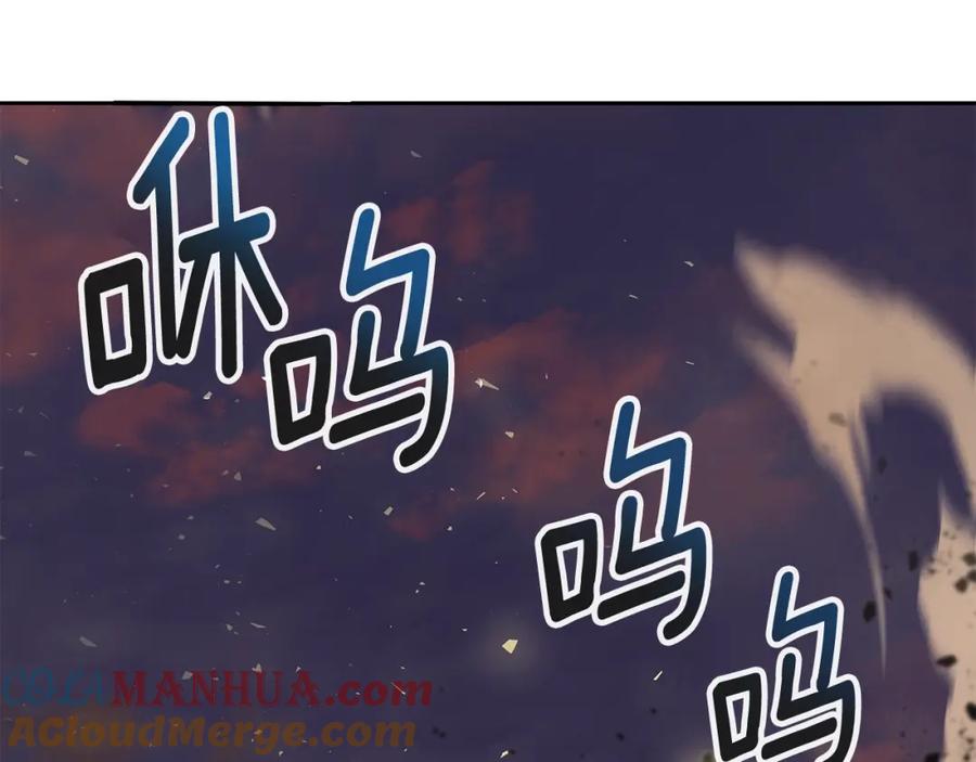 第229页