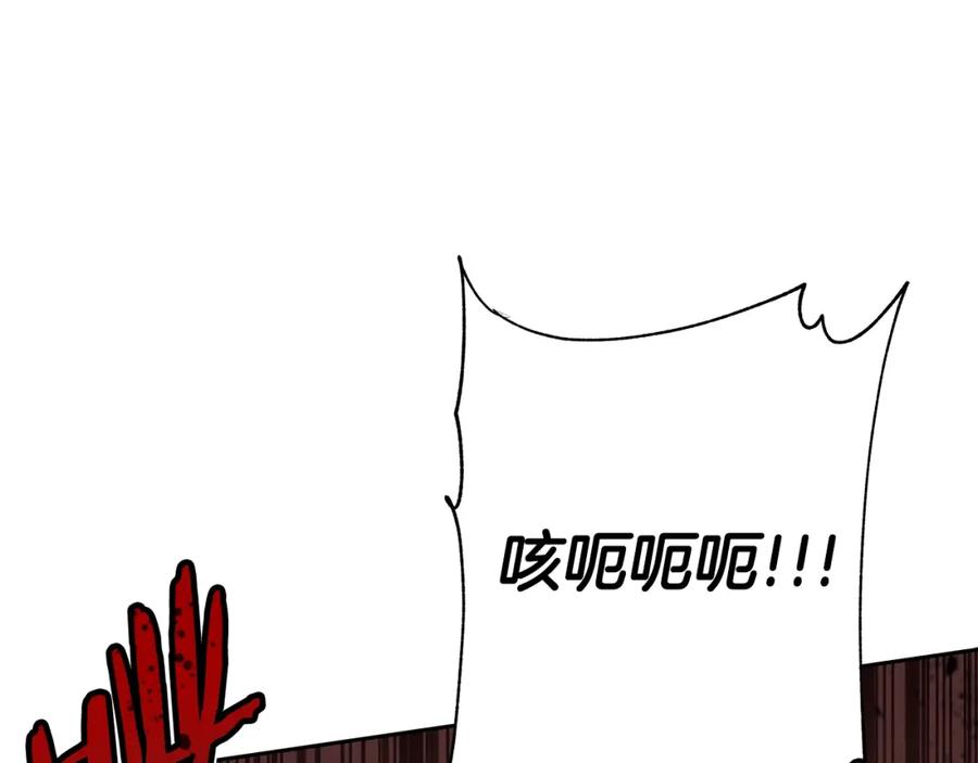 第251页