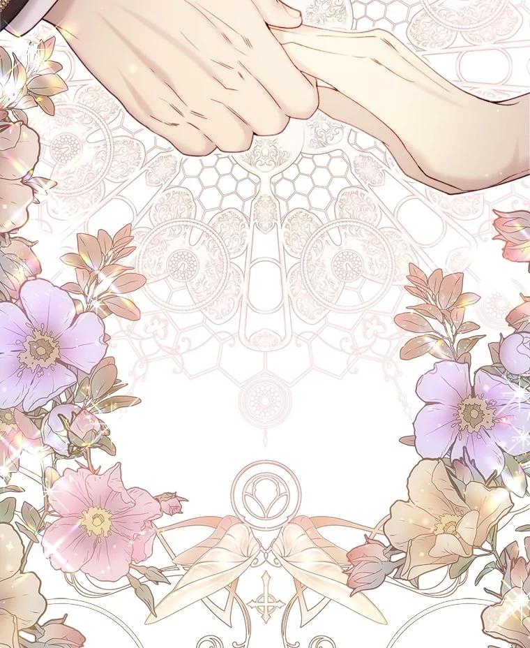 第224页