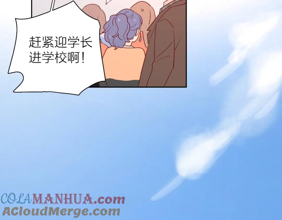 第223页