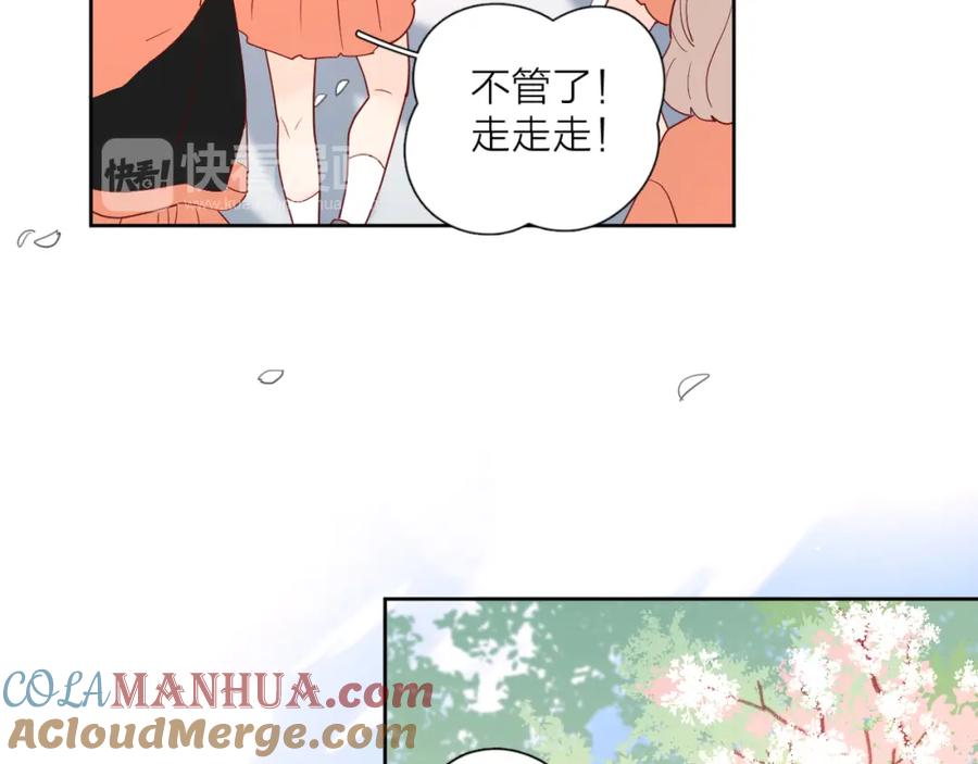 第242页