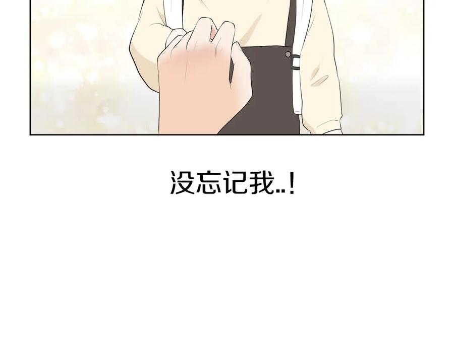 第223页