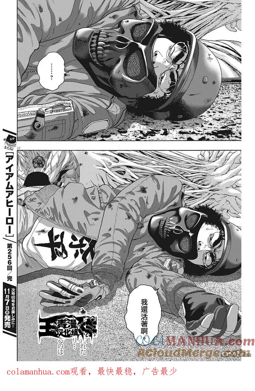 第17页
