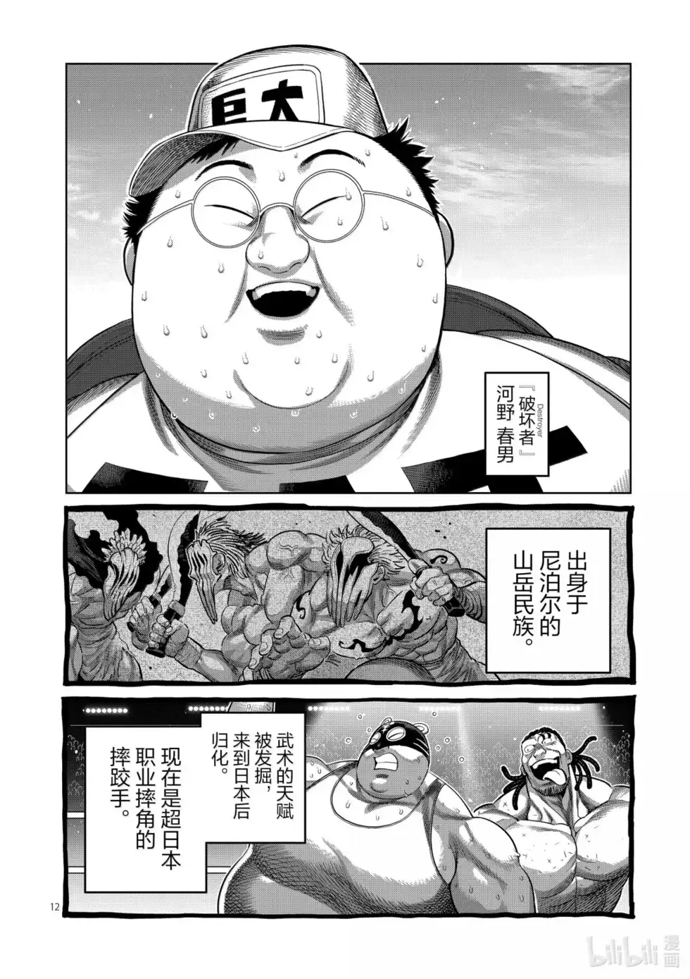 第12页