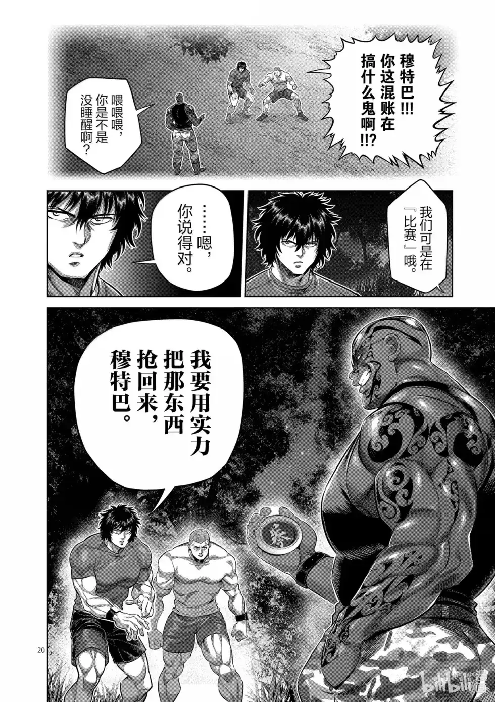第20页