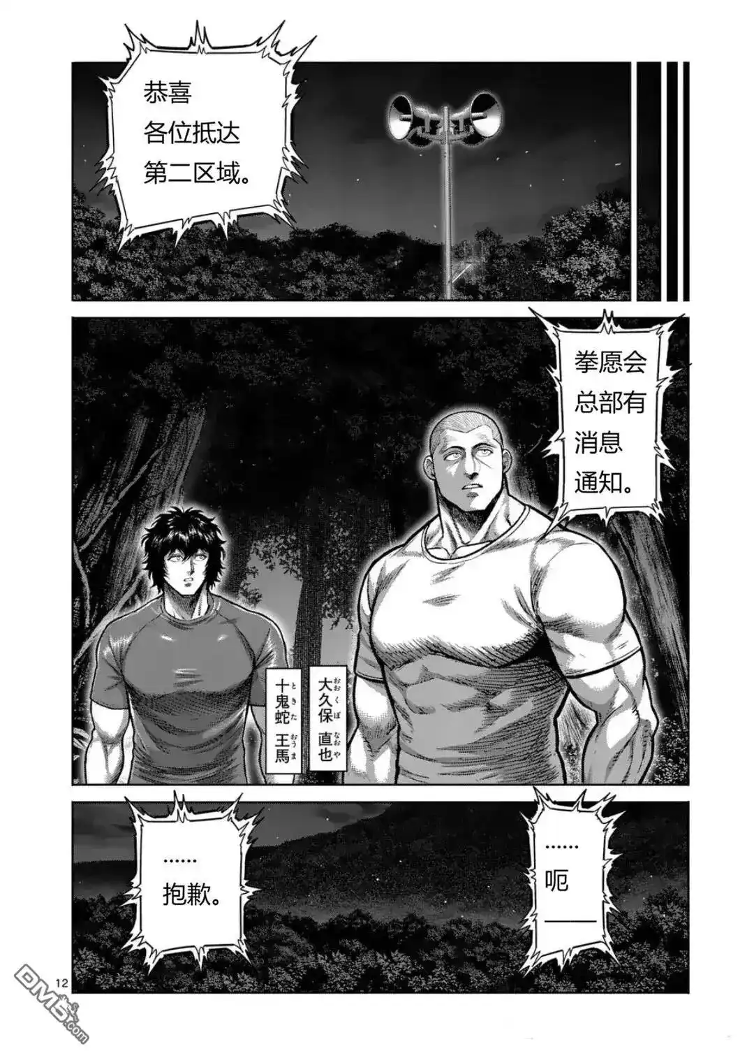 第12页