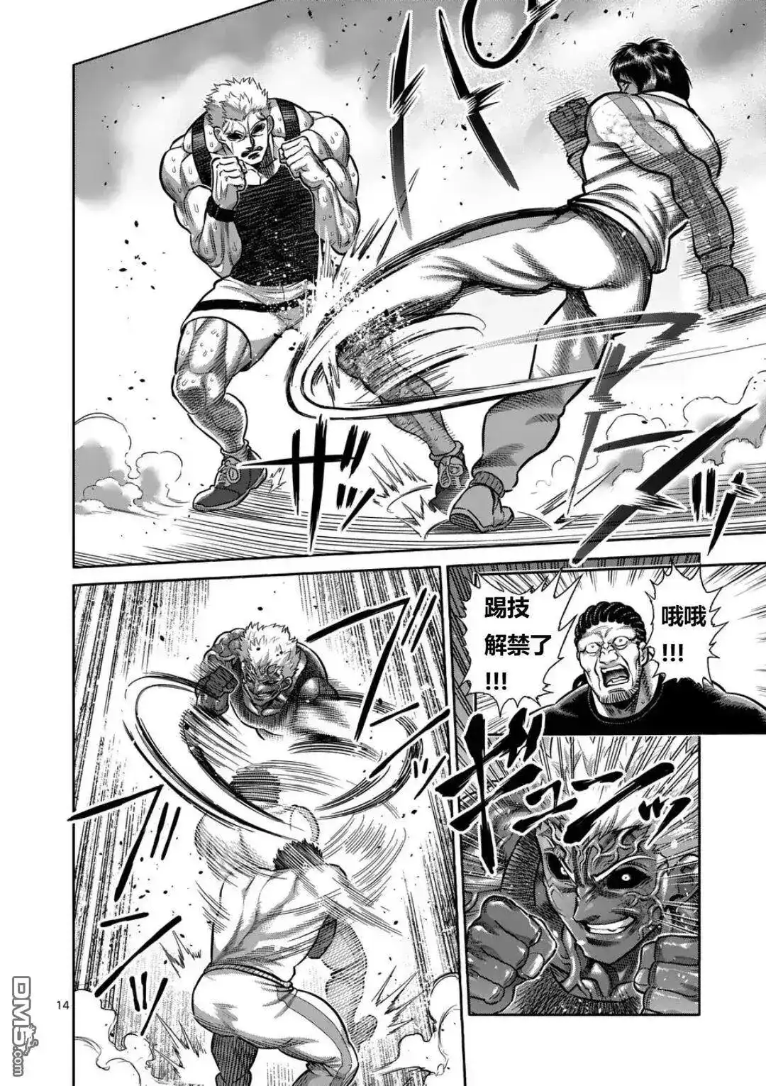 第14页