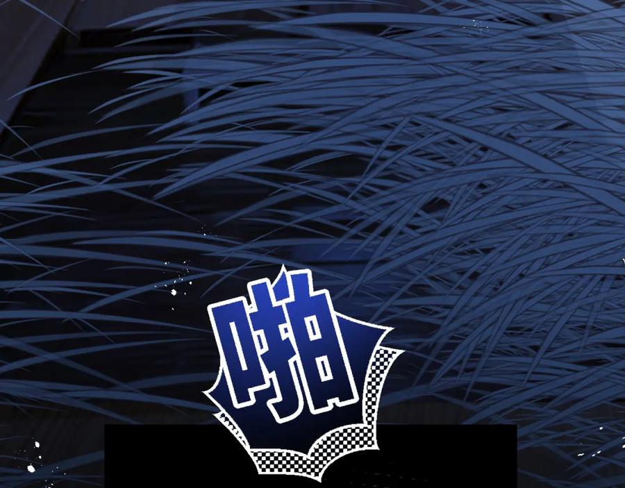 第224页