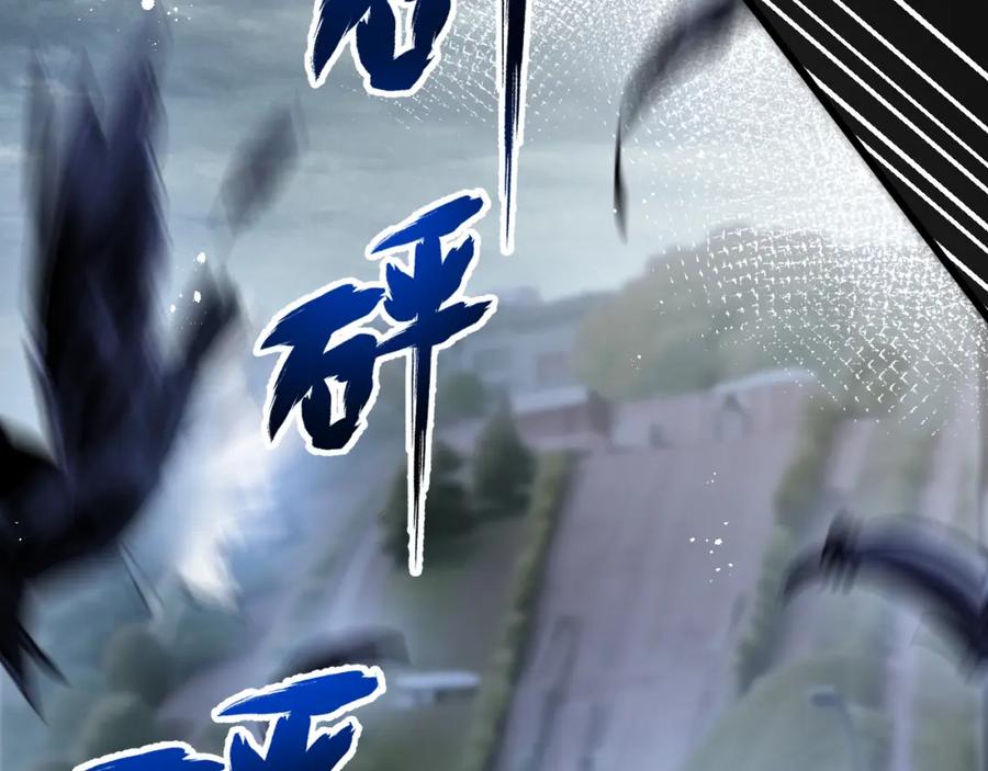 第240页