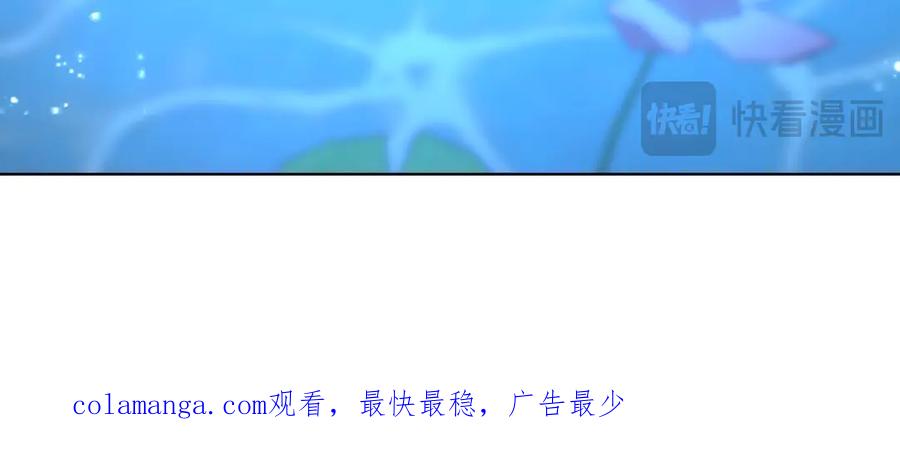 第504页