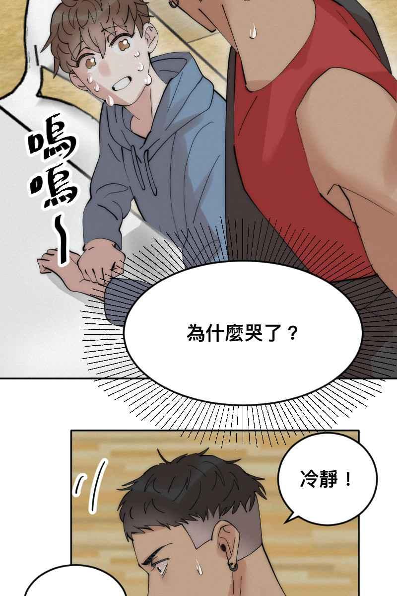 第48页