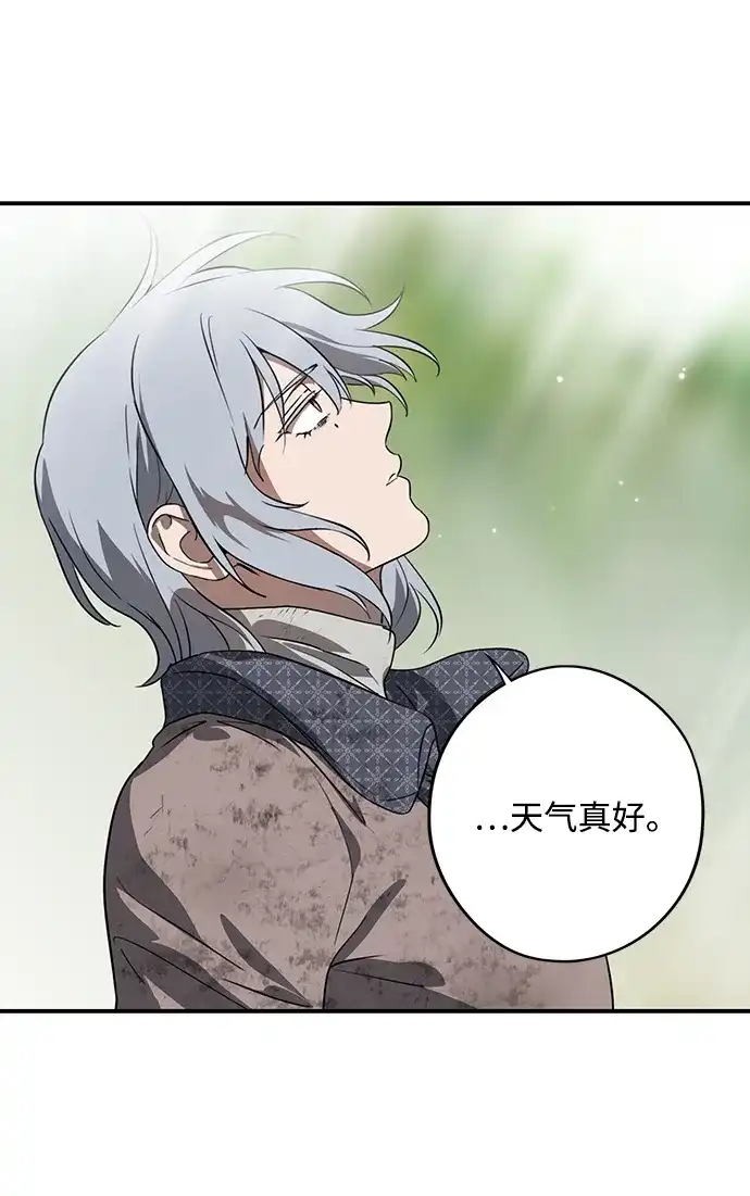 第229页