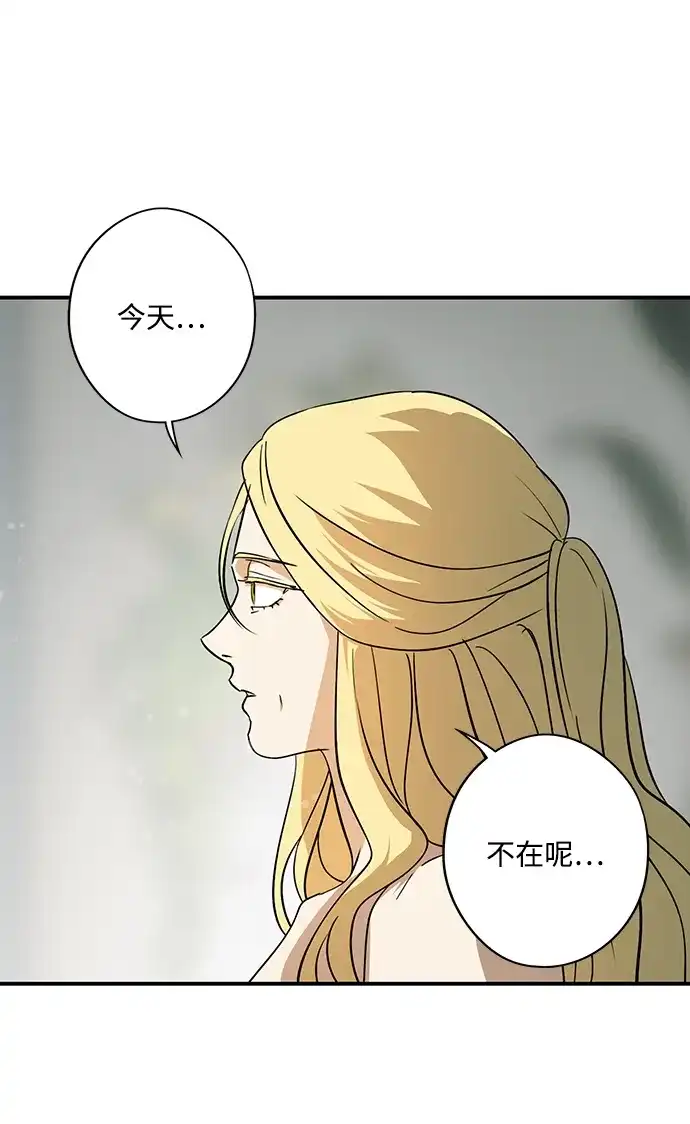 第223页