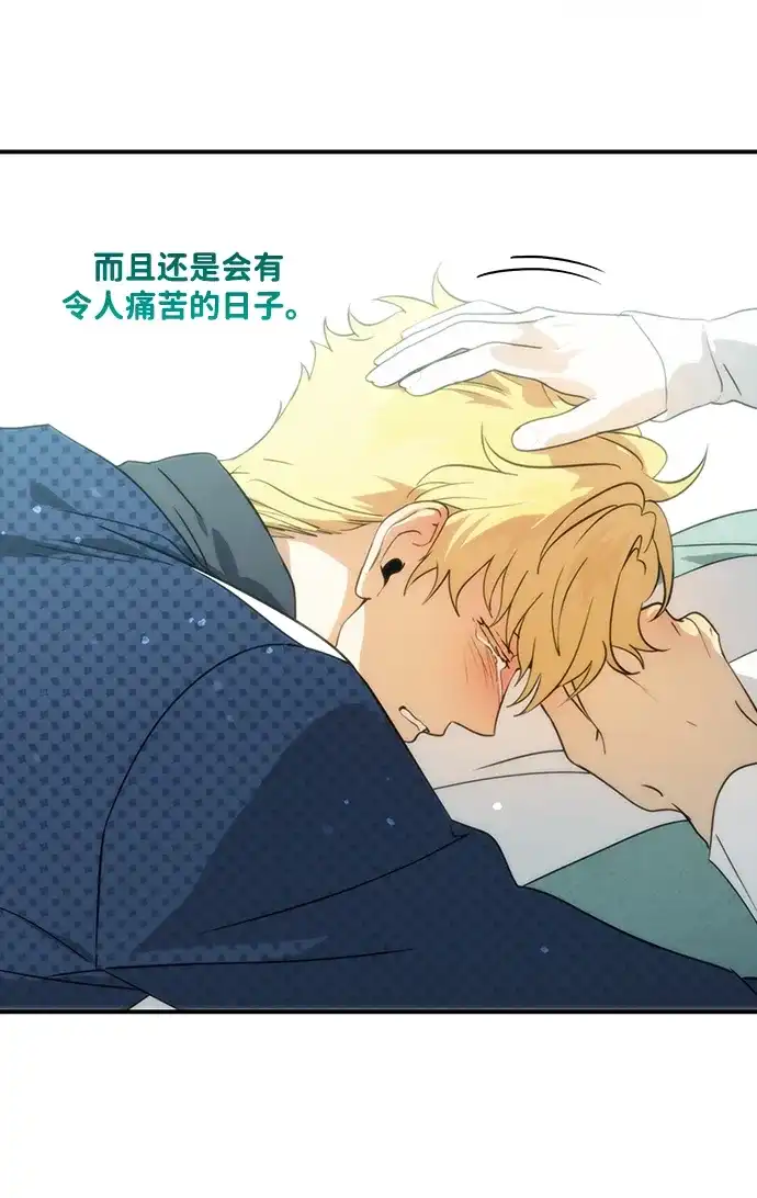 第246页