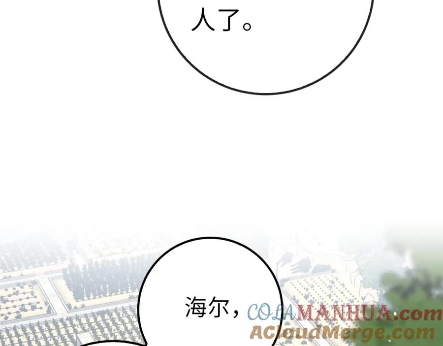 第205页