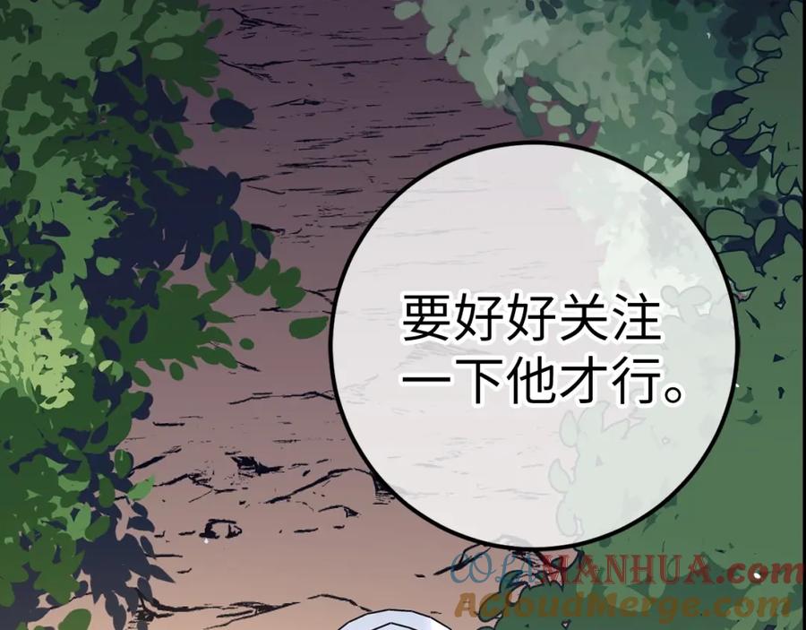 第221页