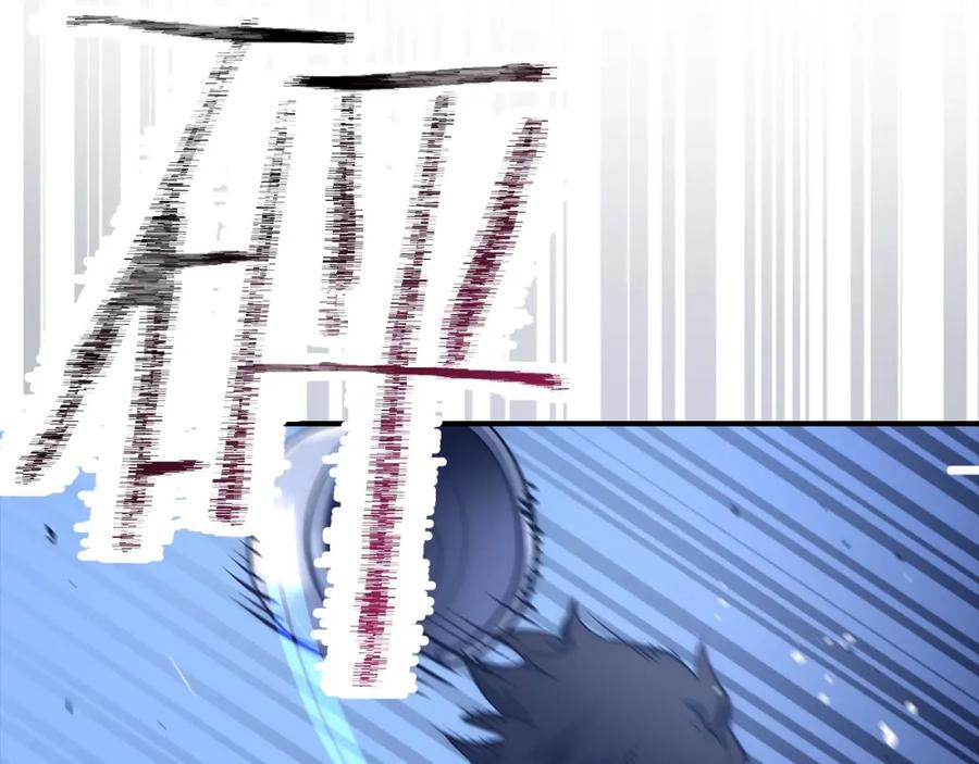 第206页