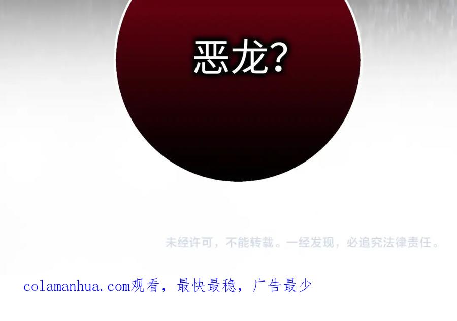 第223页