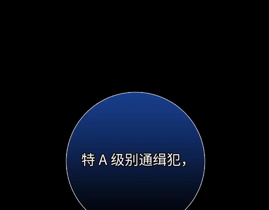 第244页