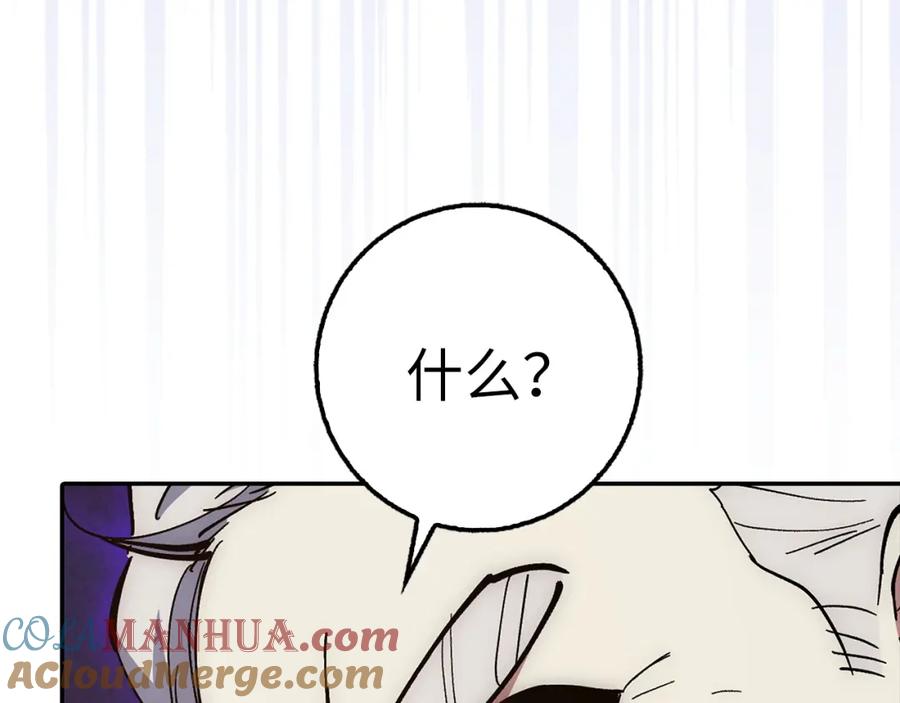 第233页