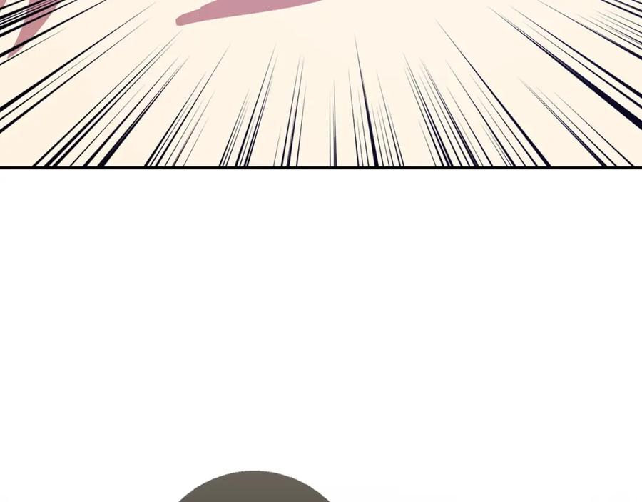第255页