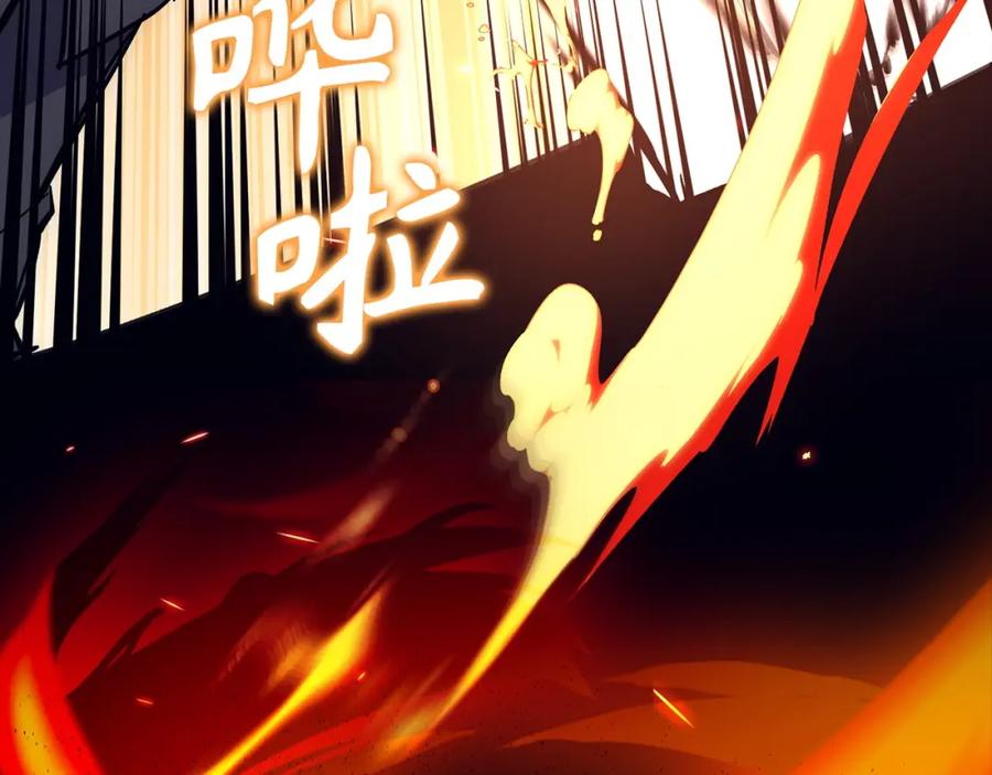第216页