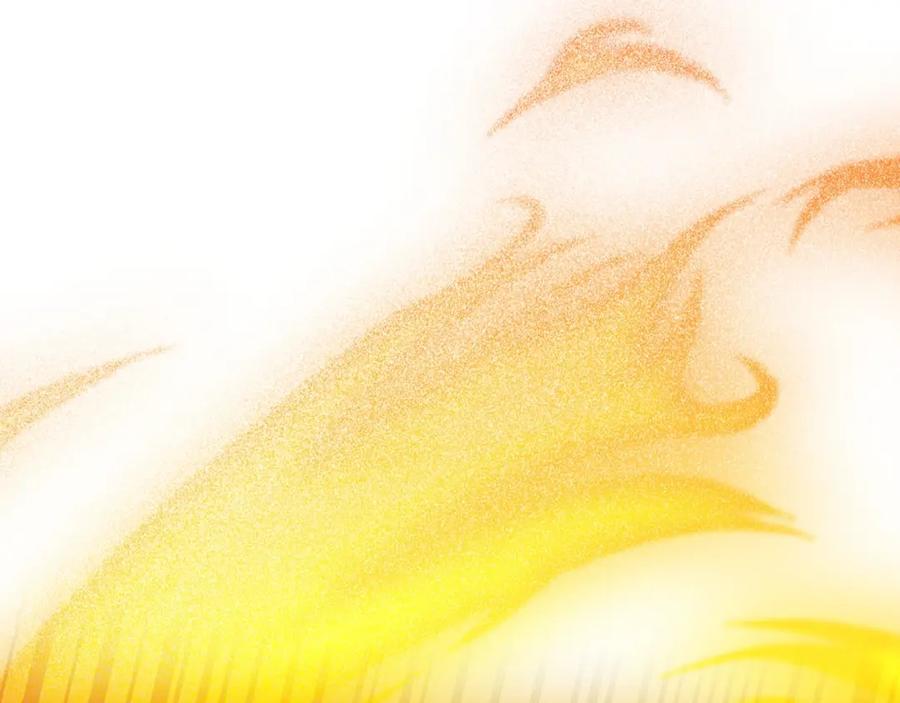 第224页