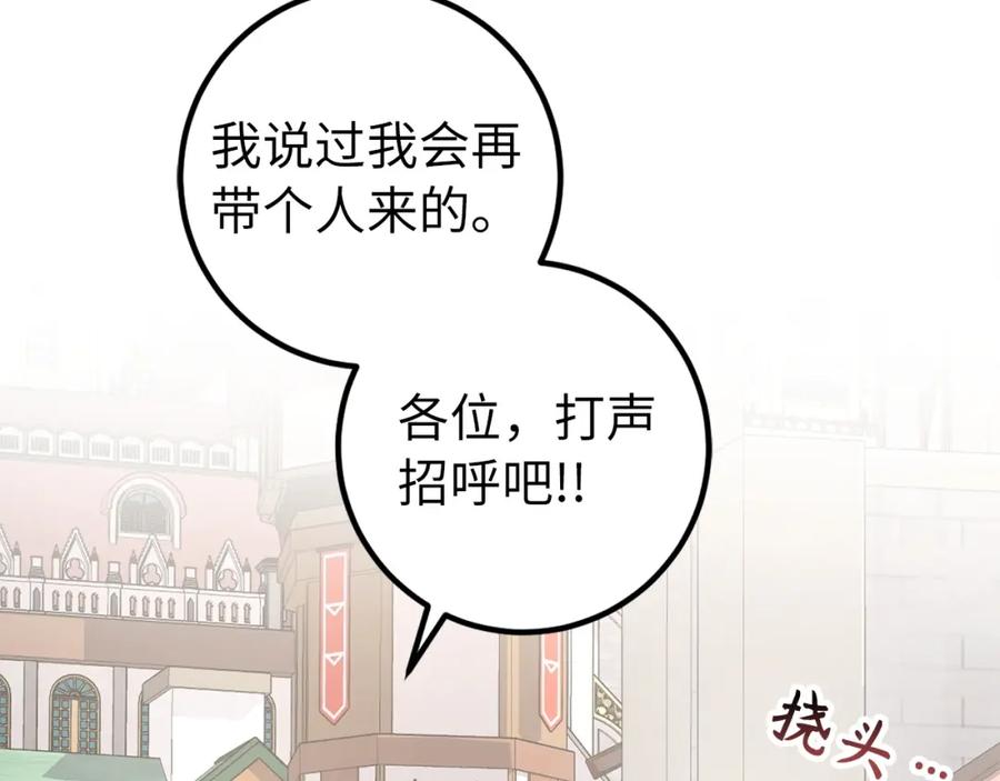第223页