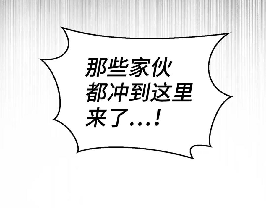 第223页