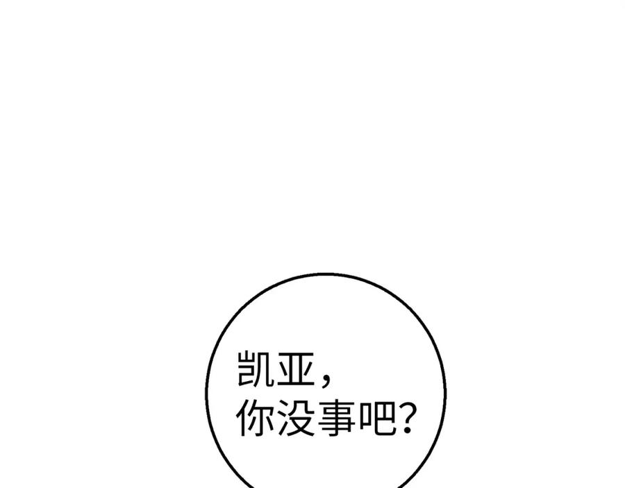 第223页