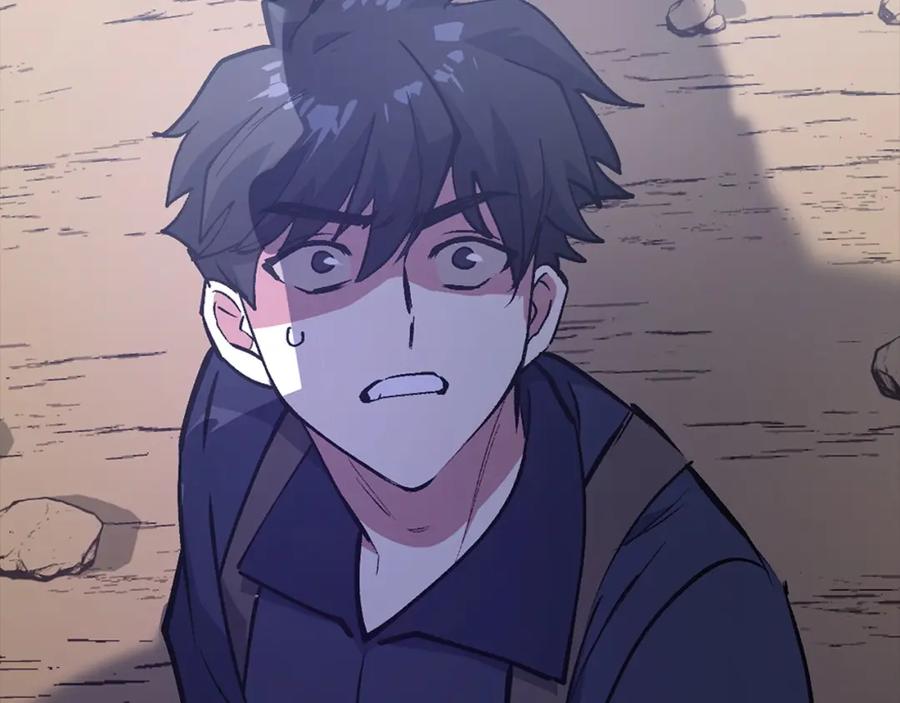 第238页