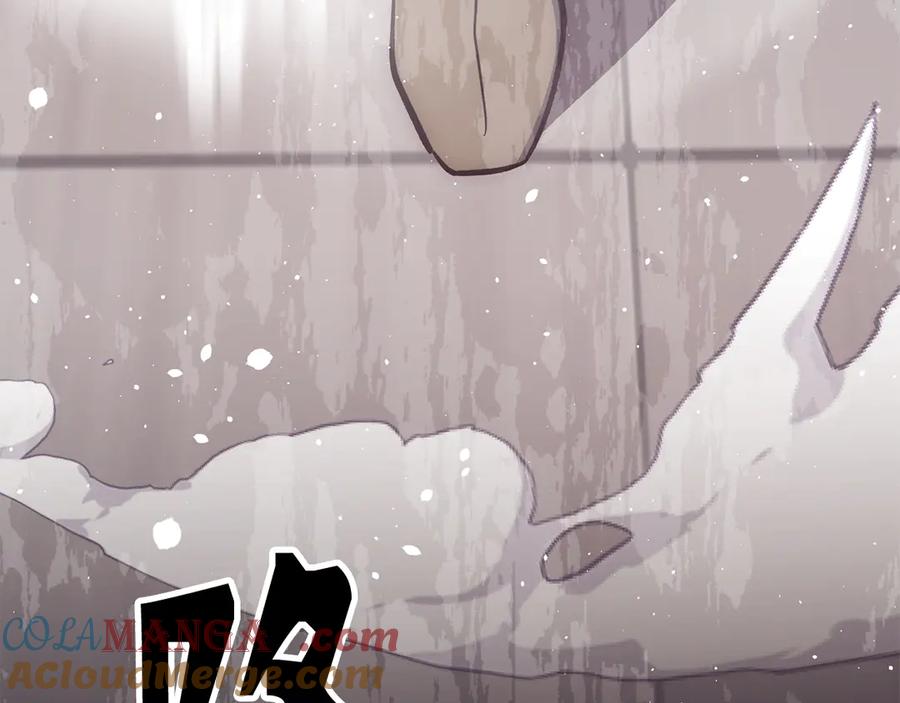 第221页