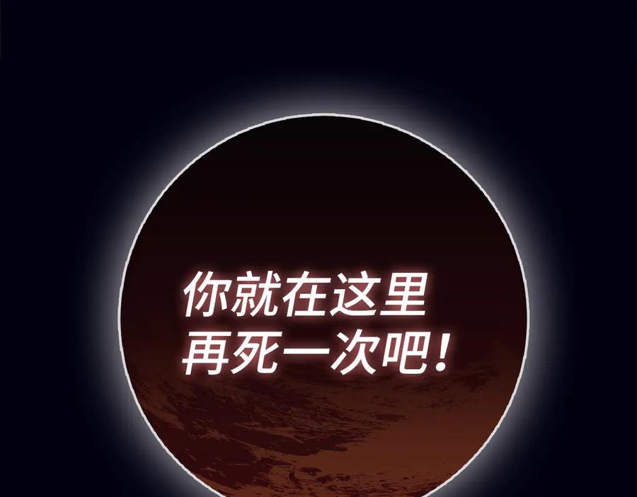 第223页