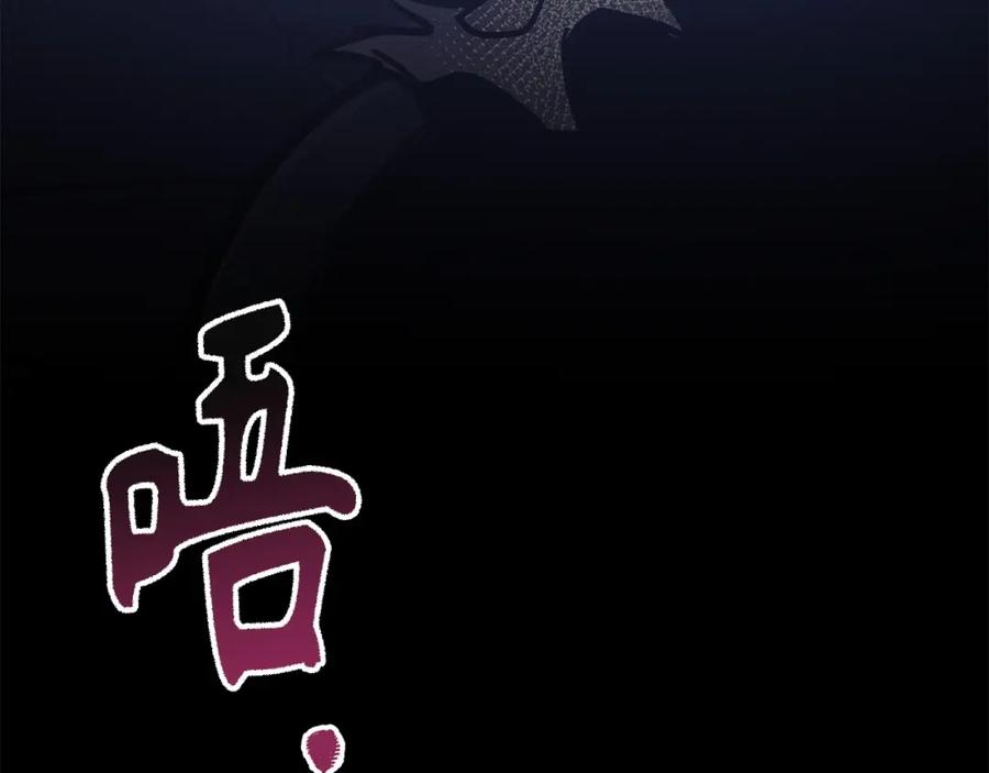 第224页
