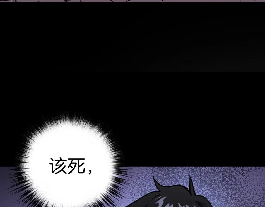 第231页