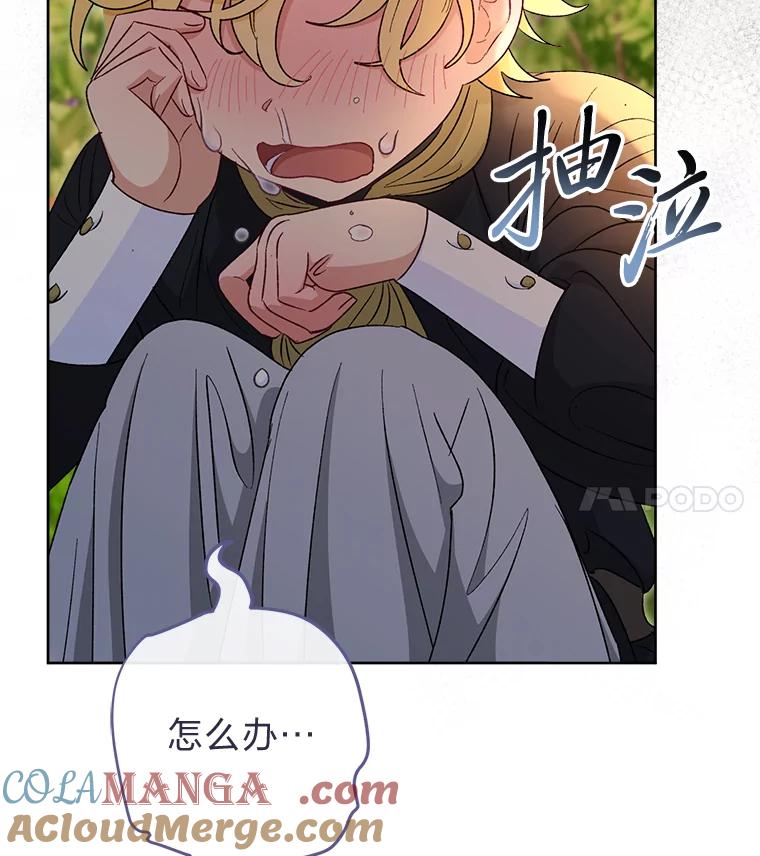 第113页