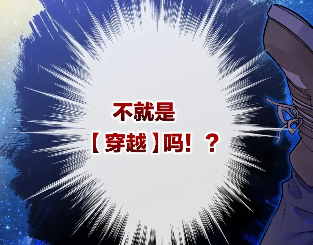 第236页