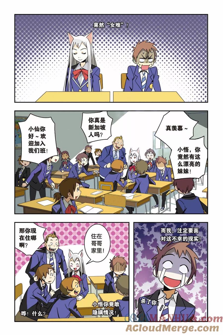 第13页