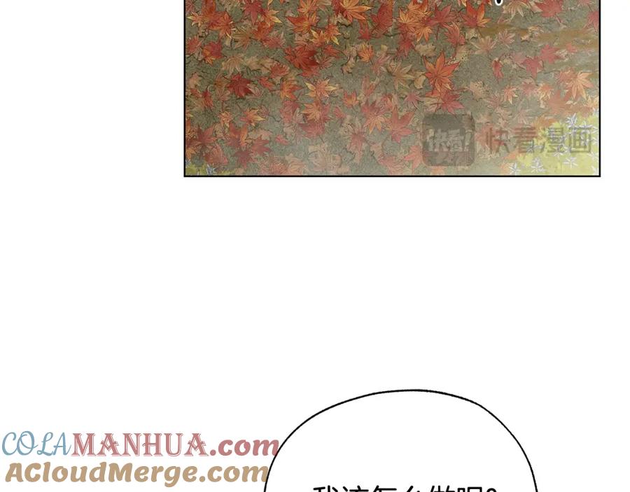 第181页