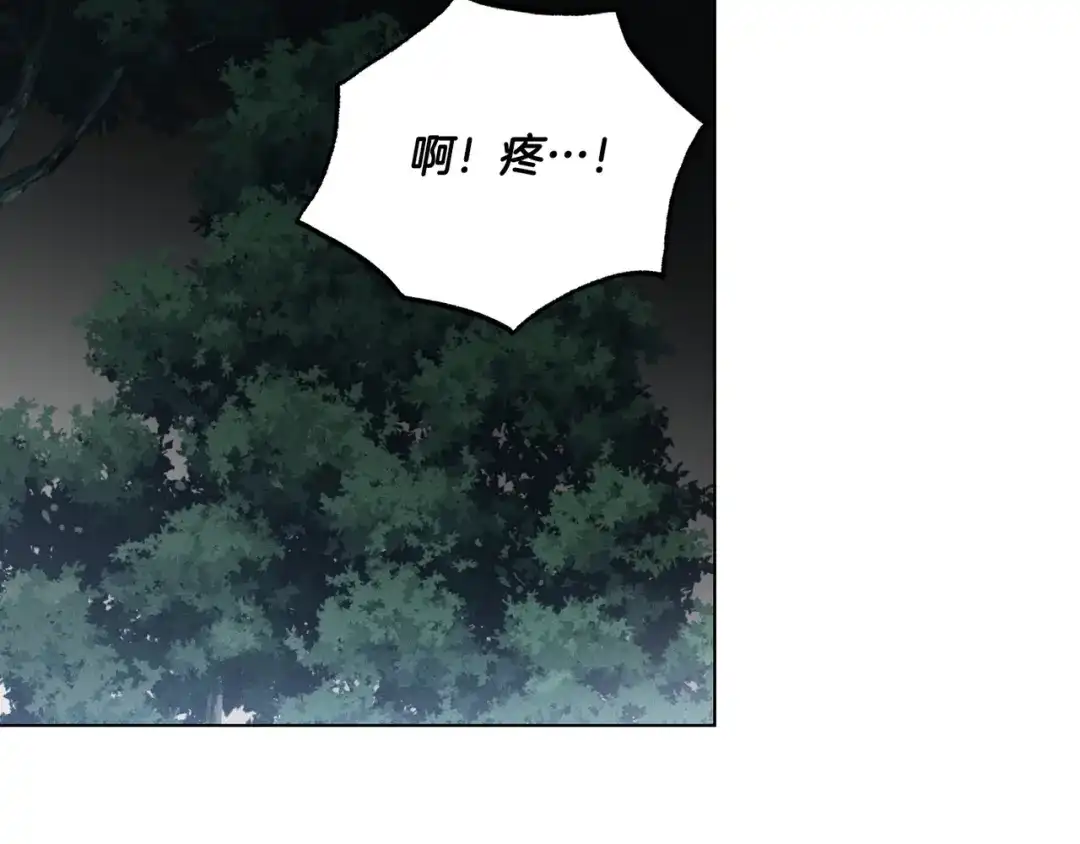 第206页