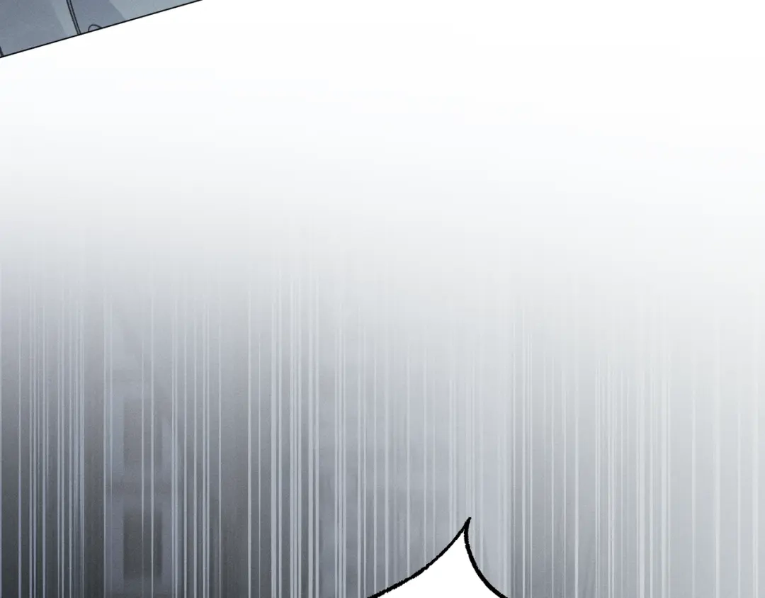 第224页
