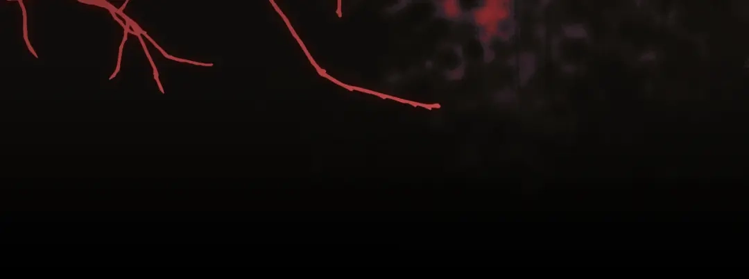 第211页