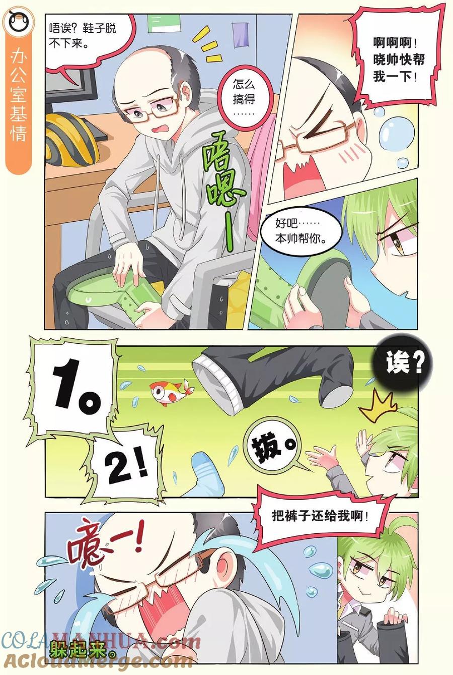 第5页