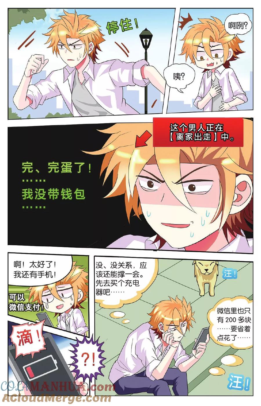 第5页