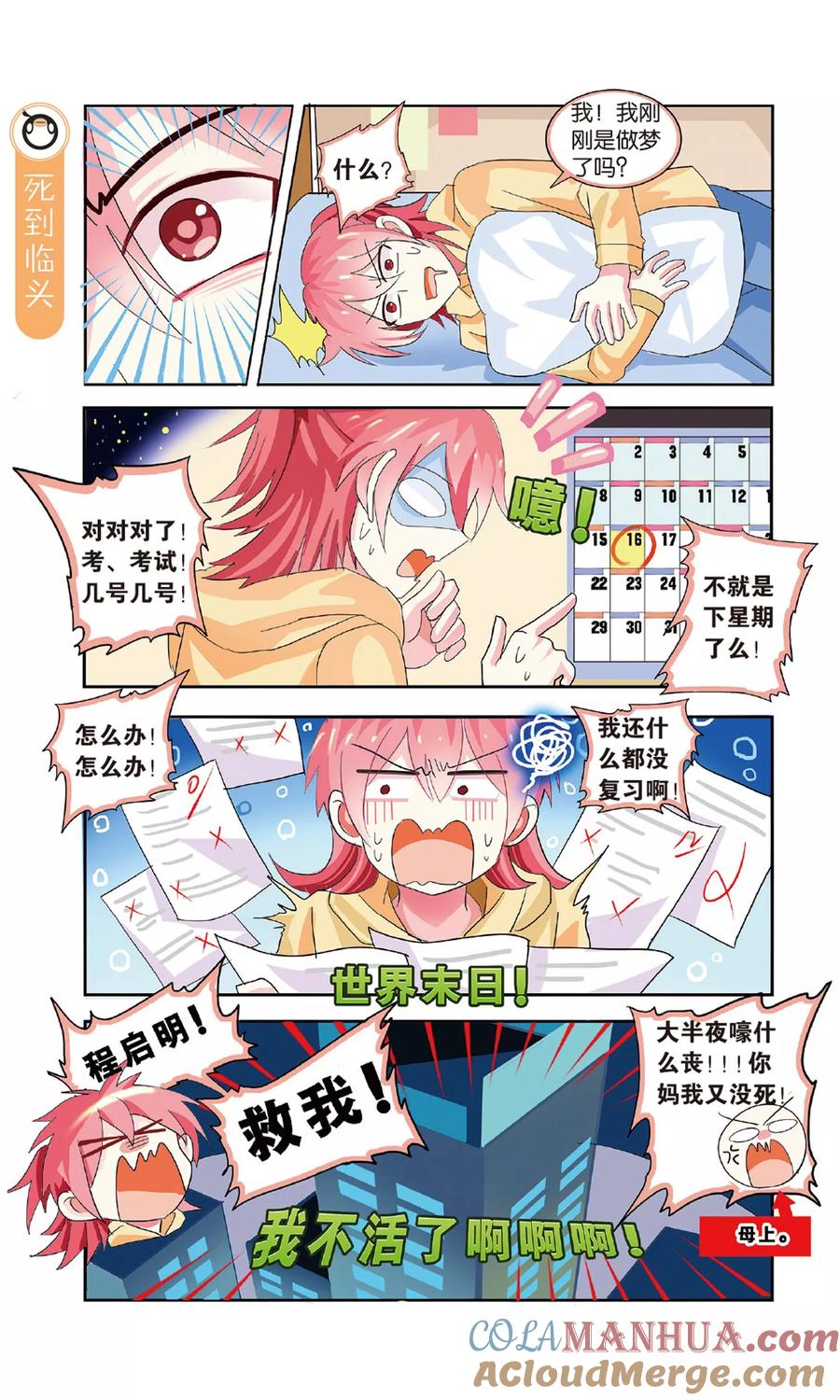 第5页